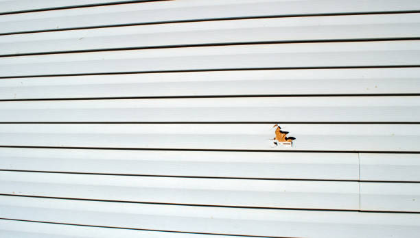 Siding for Commercial Buildings in Bull Run, VA