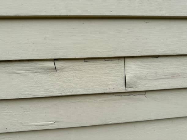 Best Fiber Cement Siding Installation  in Bull Run, VA